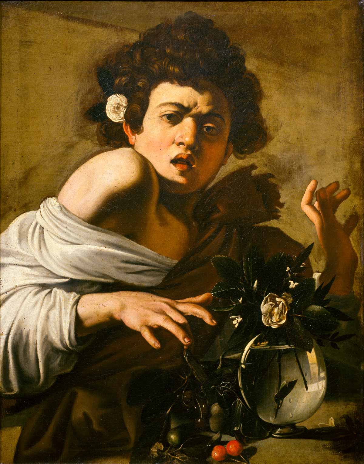 Caravaggio, Ragazzo morso da un ramarro, olio su tela, cm 65,8 x 52,3
